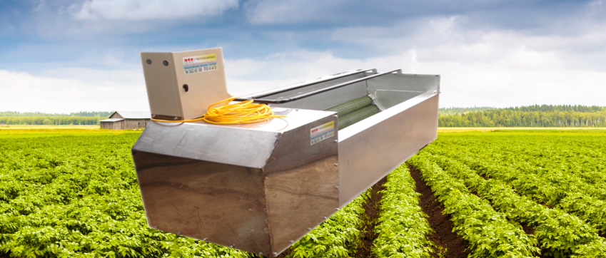 Carrot/ sweet potato/ potato washing machine 