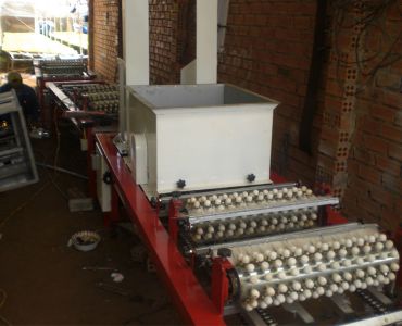 Máy nén giá thể vào khay nhựa ASPM 02