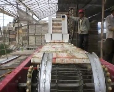 Máy rửa khay xốp tự động AWM