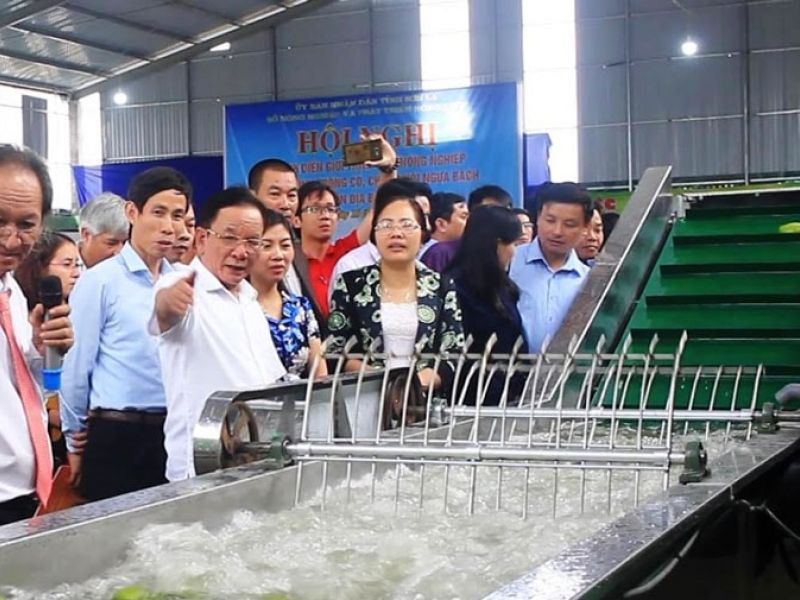 Máy rửa, phân loại cà chua đoạt giải nhất sáng tạo kỹ thuật nhà nông tỉnh Lâm Đồng